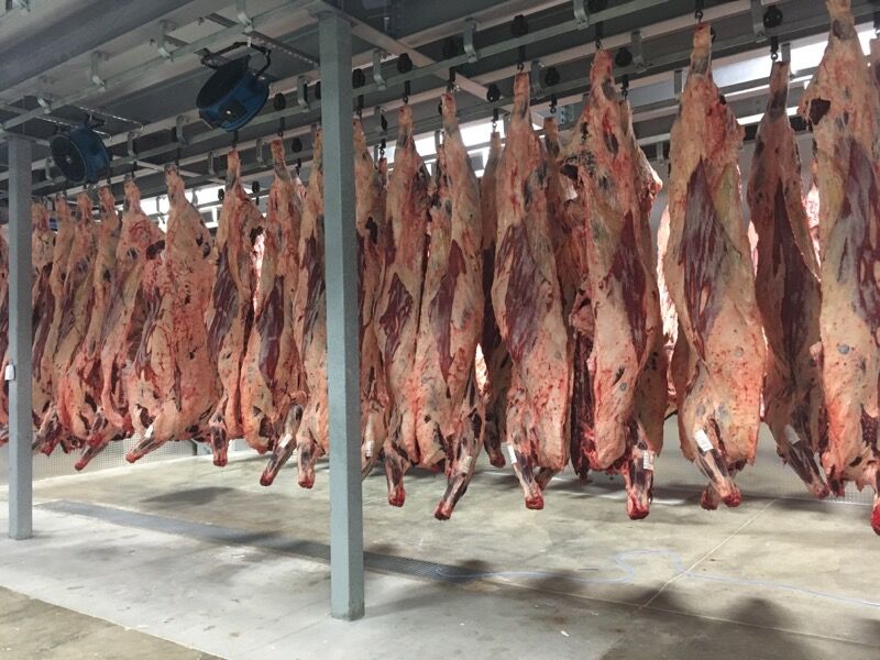 McLean Beef 1.jpg
